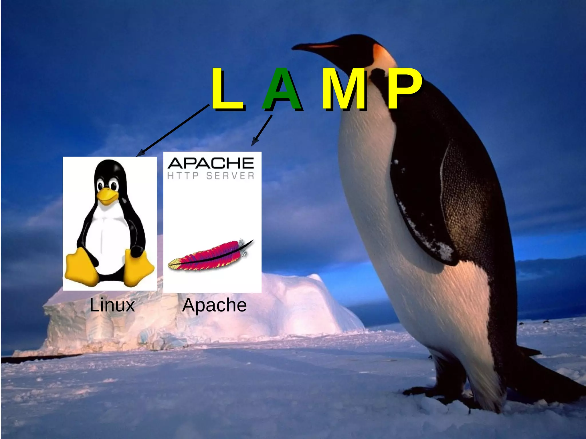 LL AA M PM P
Linux Apache
 