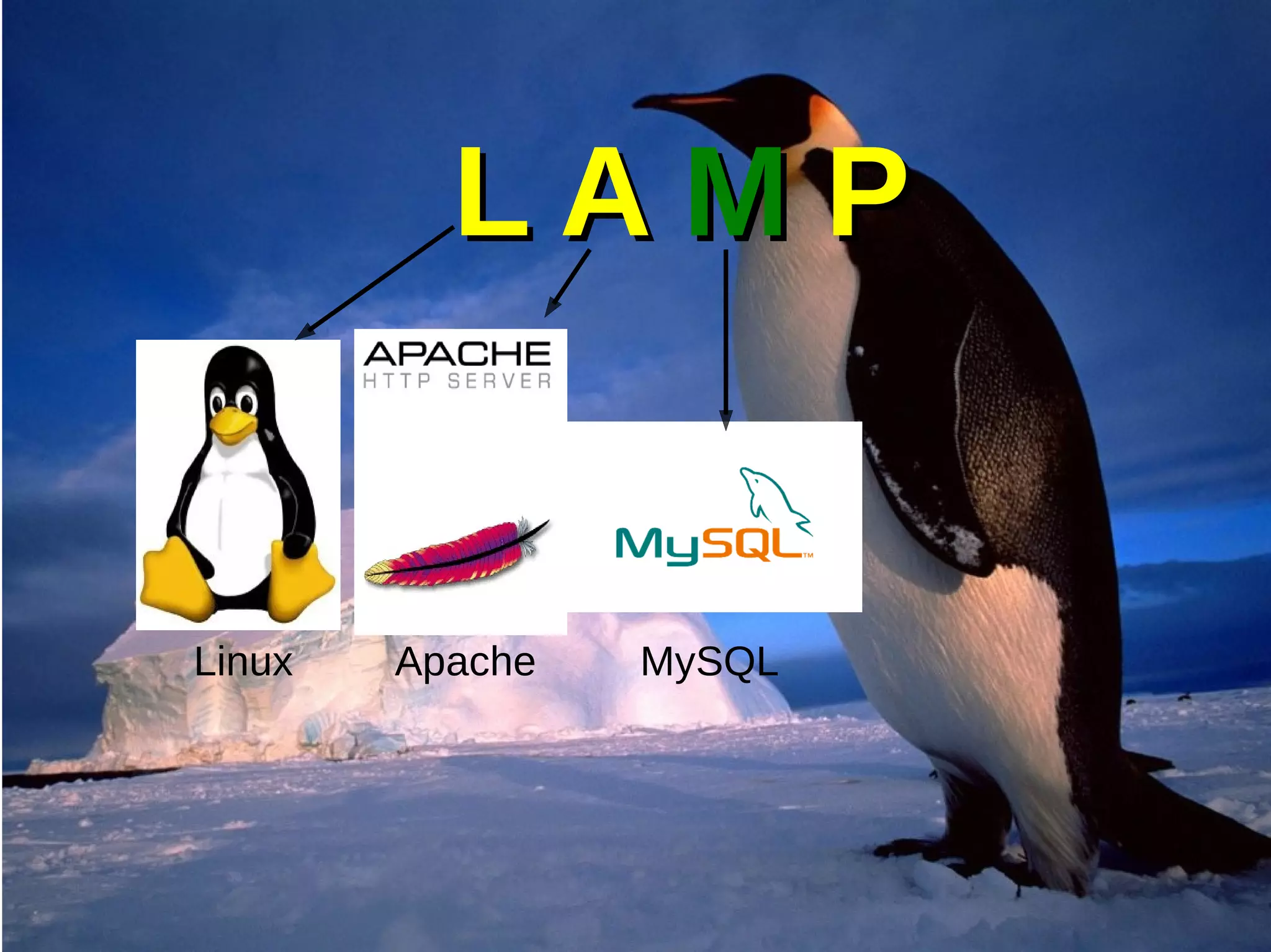L AL A MM PP
Linux Apache MySQL
 