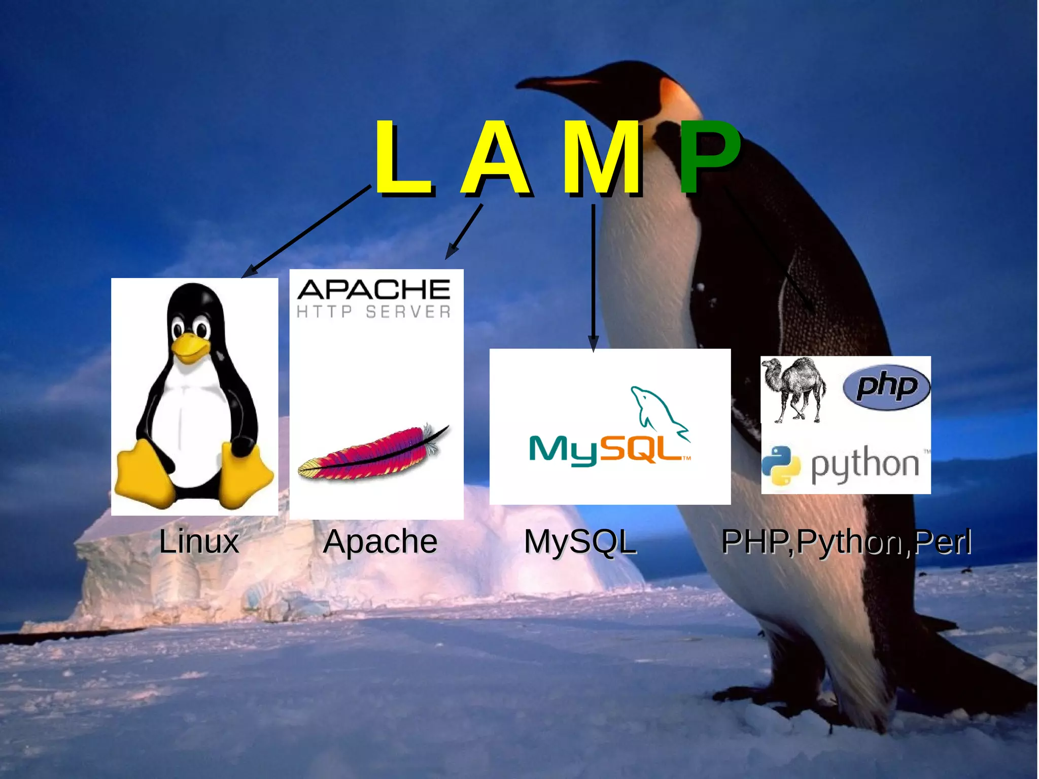 L A ML A M PP
Linux Apache MySQL PHP,Python,PerlLinux Apache MySQL PHP,Python,Perl
 