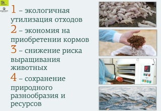100 тонн
мясных отходов
в месяц
образуется на среднем
свинокомплексе
От 3 рублей за
килограмм
стоит утилизация
отходов
10 ...