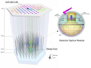 Detector Optical Module
 