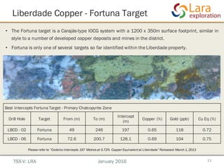Liberdade Copper - Fortuna Target
11
Best Intercepts Fortuna Target - Primary Chalcopyrite Zone
Drill Hole Target From (m) To (m)
Intercept
(m)
Copper (%) Gold (ppb) Cu Eq (%)
LBCD - 02 Fortuna 49 246 197 0.65 118 0.72
LBCD - 06 Fortuna 72.6 200.7 128.1 0.69 104 0.75
TSX-V: LRA January 2016
Please refer to “Codelco Intercepts 197 Metres at 0.72% Copper Equivalentat Liberdade” Released: March 1, 2013
• The Fortuna target is a Carajás-type IOCG system with a 1200 x 350m surface footprint, similar in
style to a number of developed copper deposits and mines in the district.
• Fortuna is only one of several targets so far identified within the Liberdade property.
 