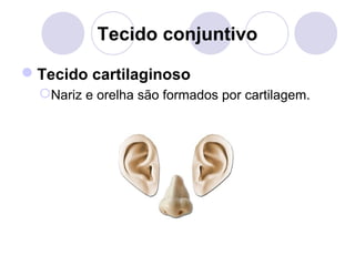Tecido conjuntivo
Tecido cartilaginoso
Nariz e orelha são formados por cartilagem.

 