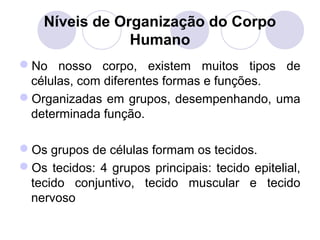 Níveis de Organização do Corpo
Humano
No nosso corpo, existem muitos tipos de
células, com diferentes formas e funções.
Organizadas em grupos, desempenhando, uma
determinada função.
Os grupos de células formam os tecidos.
Os tecidos: 4 grupos principais: tecido epitelial,
tecido conjuntivo, tecido muscular e tecido
nervoso

 