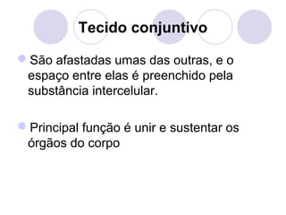 Tecido conjuntivo
São afastadas umas das outras, e o
espaço entre elas é preenchido pela
substância intercelular.
Principal função é unir e sustentar os
órgãos do corpo

 