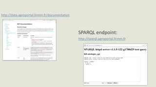 50
REST Web Service API:
http://data.agroportal.lirmm.fr/documentation
SPARQL endpoint:
http://sparql.agroportal.lirmm.fr
 