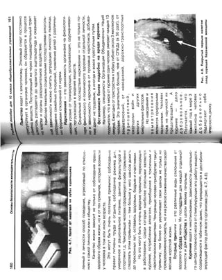 16  основы безопасности жизнедеятельности уч пос для 10кл-2003
