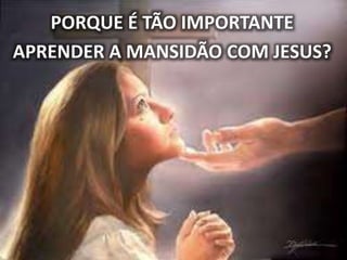 PORQUE É TÃO IMPORTANTE
APRENDER A MANSIDÃO COM JESUS?
 