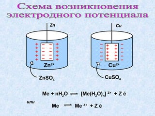 CuZn
Cu2+
Zn2+
CuSO4ZnSO4
Me + nH2O [Me(H2O)n] Z+
+ Z ē
Me Me Z+
+ Z ē
или
 