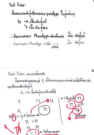 คำบรรยาย การถ่ายทอดพันธุุกรรม 16.08.56