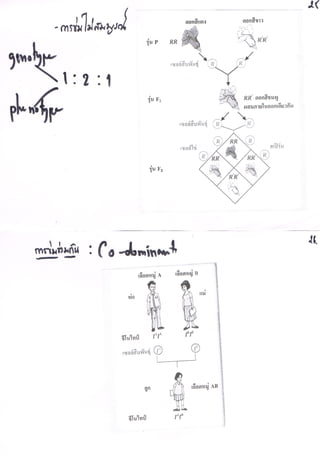คำบรรยาย การถ่ายทอดพันธุุกรรม 16.08.56