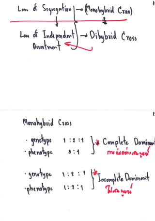 คำบรรยาย การถ่ายทอดพันธุุกรรม 16.08.56