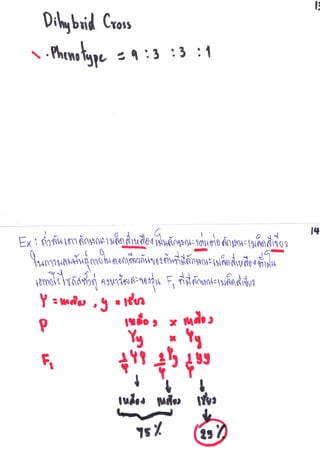 คำบรรยาย การถ่ายทอดพันธุุกรรม 16.08.56