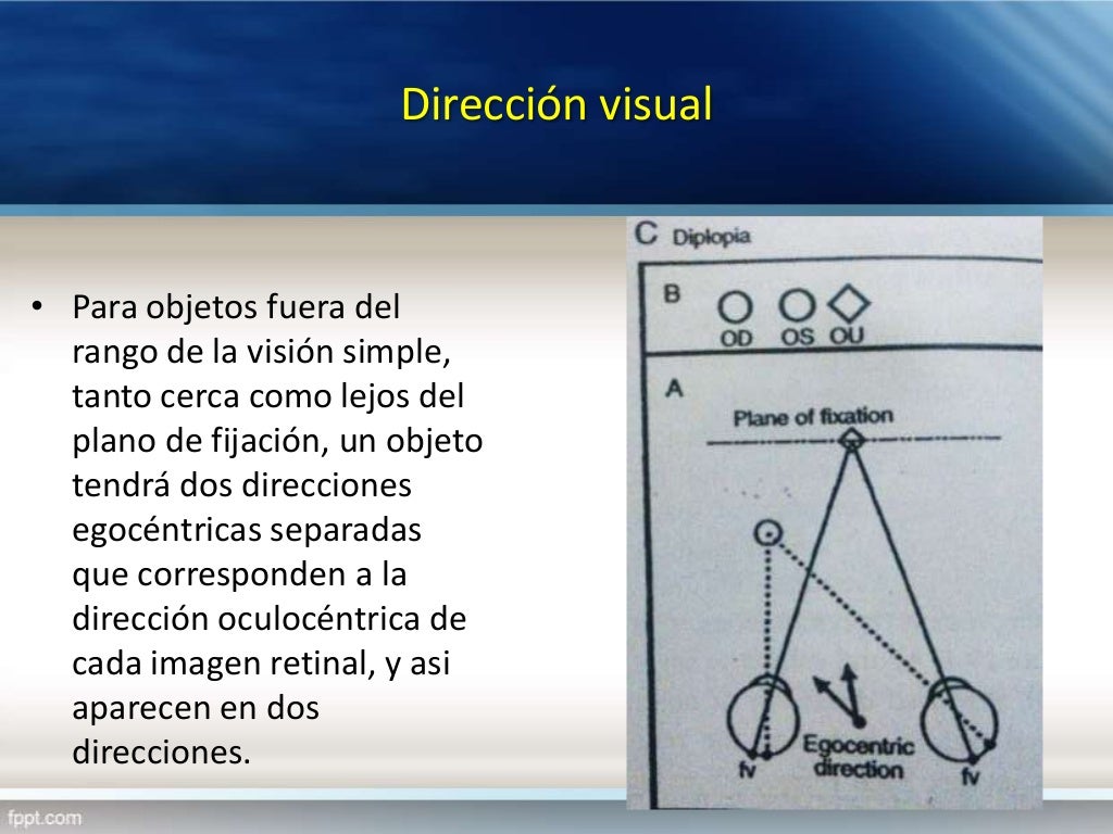 16. visión binocular