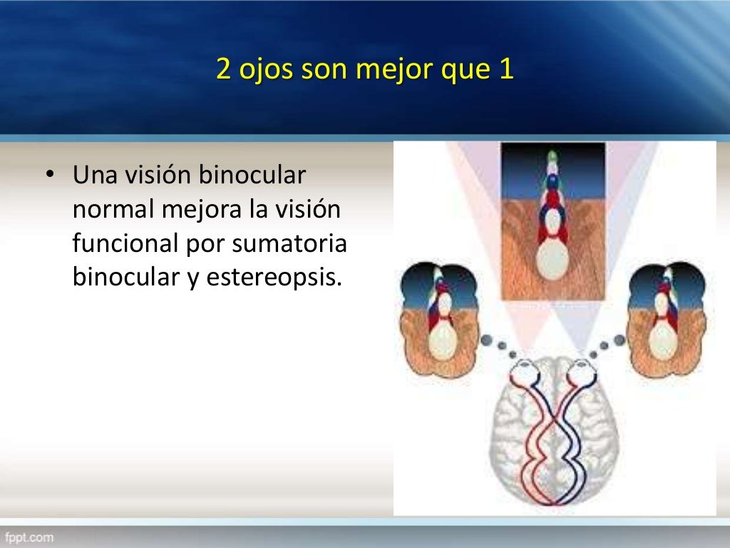 16. visión binocular