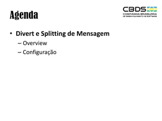 Agenda
• Divert e Splitting de Mensagem
– Overview
– Configuração

 