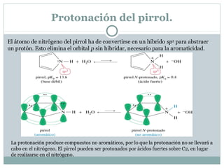 Protonación del pirrol.
El átomo de nitrógeno del pirrol ha de convertirse en un híbrido sp3 para abstraer
un protón. Esto elimina el orbital p sin hibridar, necesario para la aromaticidad.

La protonación produce compuestos no aromáticos, por lo que la protonación no se llevará a
cabo en el nitrógeno. El pirrol pueden ser protonados por ácidos fuertes sobre C2, en lugar
de realizarse en el nitrógeno.

 