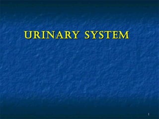 urinary SyStem

1

 