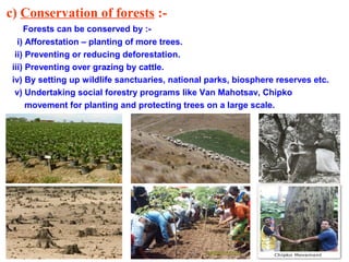 c) Conservation of forests :Forests can be conserved by :i) Afforestation – planting of more trees.
ii) Preventing or reducing deforestation.
iii) Preventing over grazing by cattle.
iv) By setting up wildlife sanctuaries, national parks, biosphere reserves etc.
v) Undertaking social forestry programs like Van Mahotsav, Chipko
movement for planting and protecting trees on a large scale.

 
