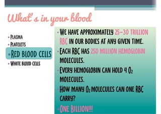 How Many Hemoglobin Per Rbc Blood | PDF