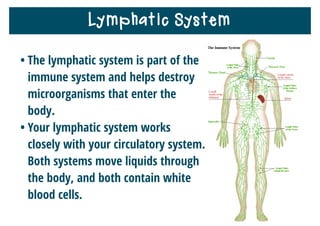 Lymphatic System
• The lymphatic system is part of the
immune system and helps destroy
microorganisms that enter the
body.
• Your lymphatic system works
closely with your circulatory system.
Both systems move liquids through
the body, and both contain white
blood cells.
 