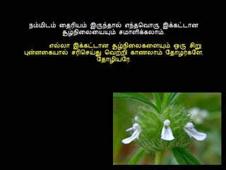 தமிழ் குறுஞ்செய்திகளின் தொகுப்பு 16ம் பாகம்