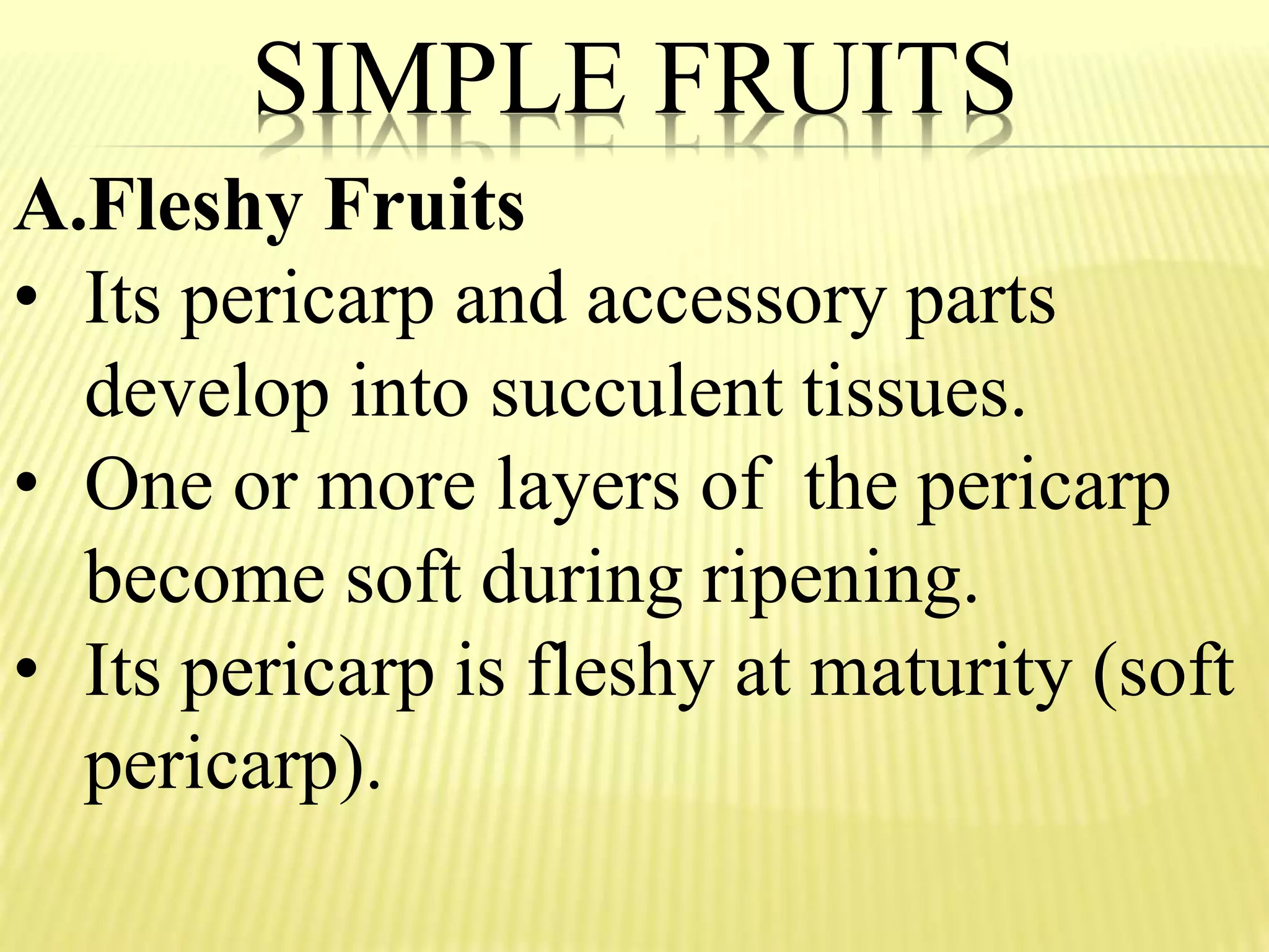 SIMPLE FRUITS
A.Fleshy Fruits
• Its pericarp and accessory parts
develop into succulent tissues.
• One or more layers of the pericarp
become soft during ripening.
• Its pericarp is fleshy at maturity (soft
pericarp).
 