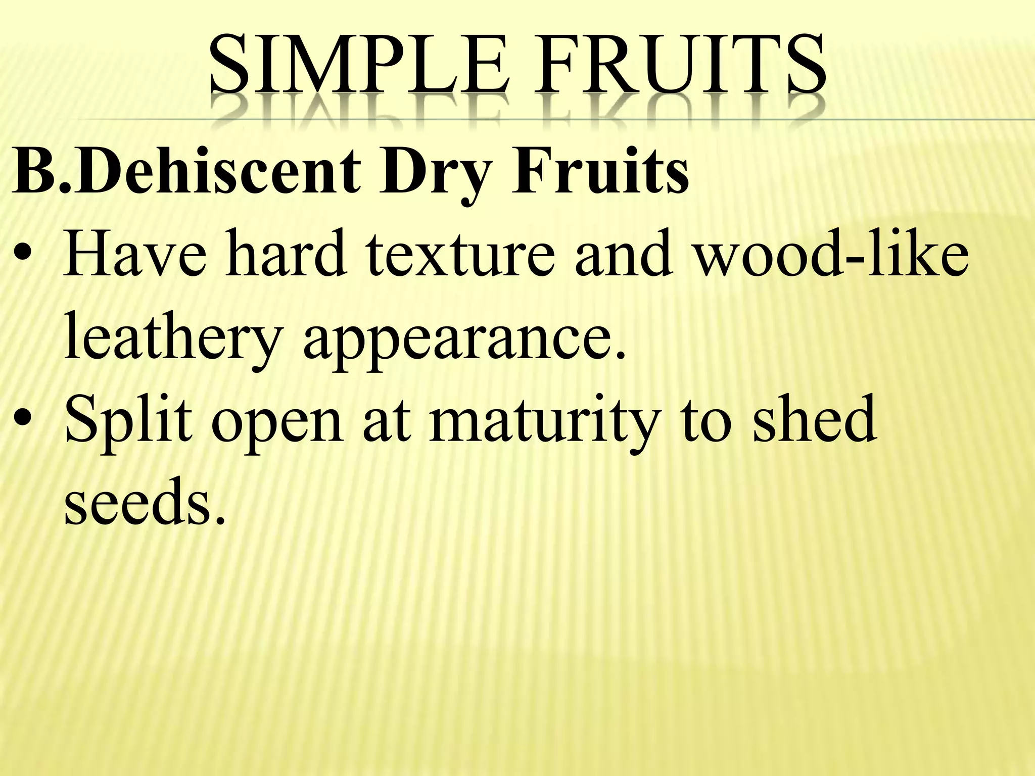 SIMPLE FRUITS
B.Dehiscent Dry Fruits
• Have hard texture and wood-like
leathery appearance.
• Split open at maturity to shed
seeds.
 