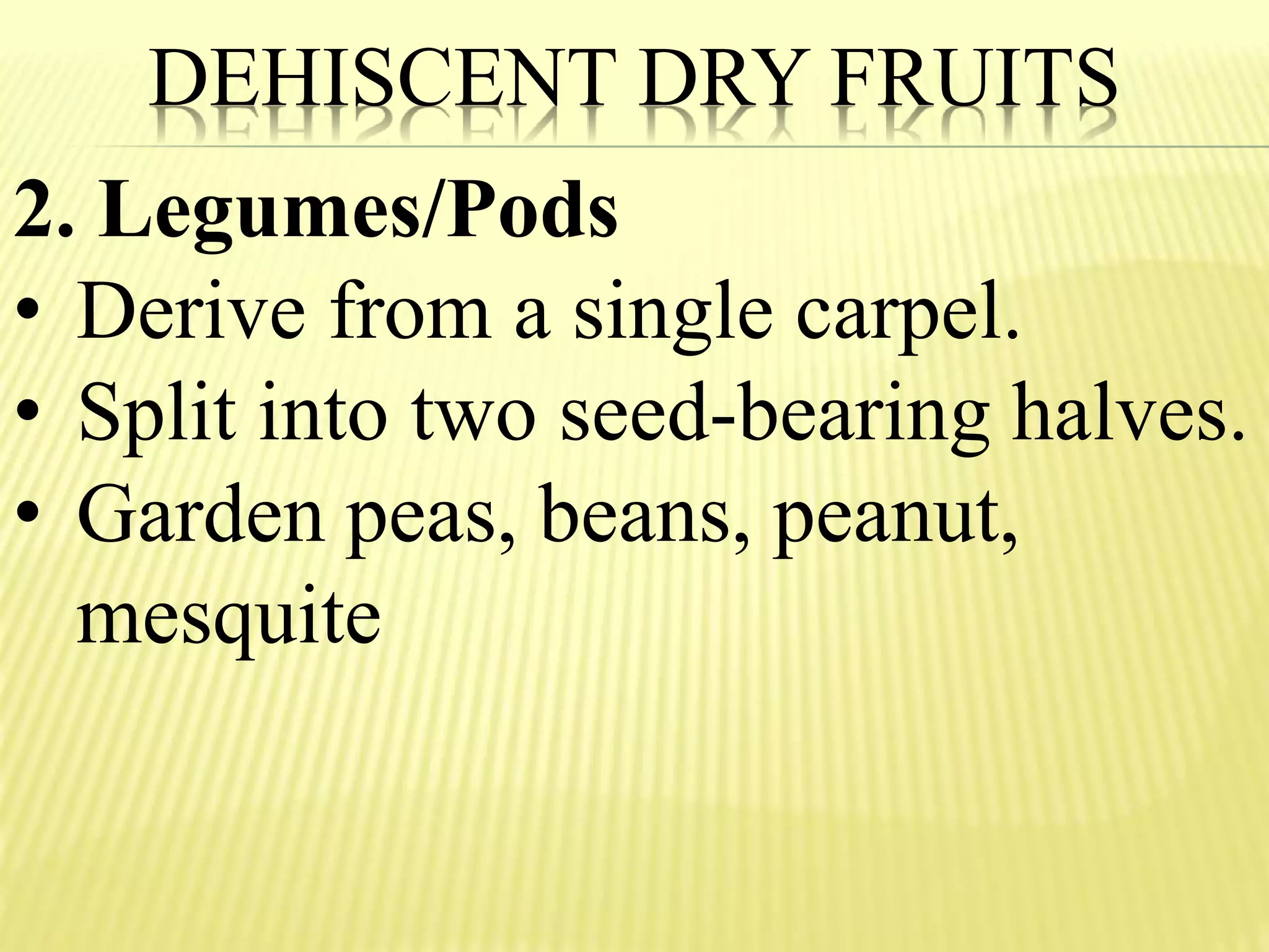 DEHISCENT DRY FRUITS
2. Legumes/Pods
• Derive from a single carpel.
• Split into two seed-bearing halves.
• Garden peas, beans, peanut,
mesquite
 