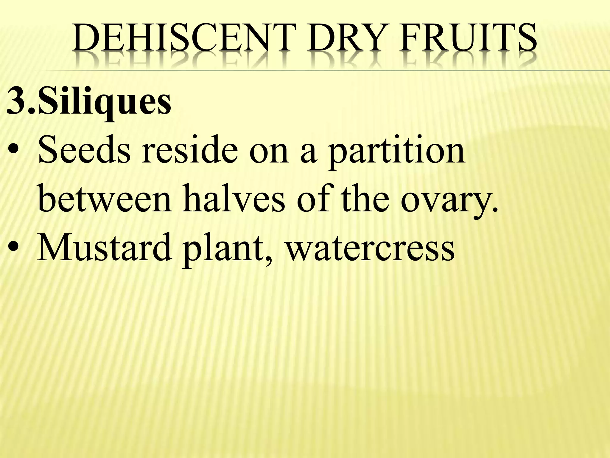 3.Siliques
• Seeds reside on a partition
between halves of the ovary.
• Mustard plant, watercress
DEHISCENT DRY FRUITS
 