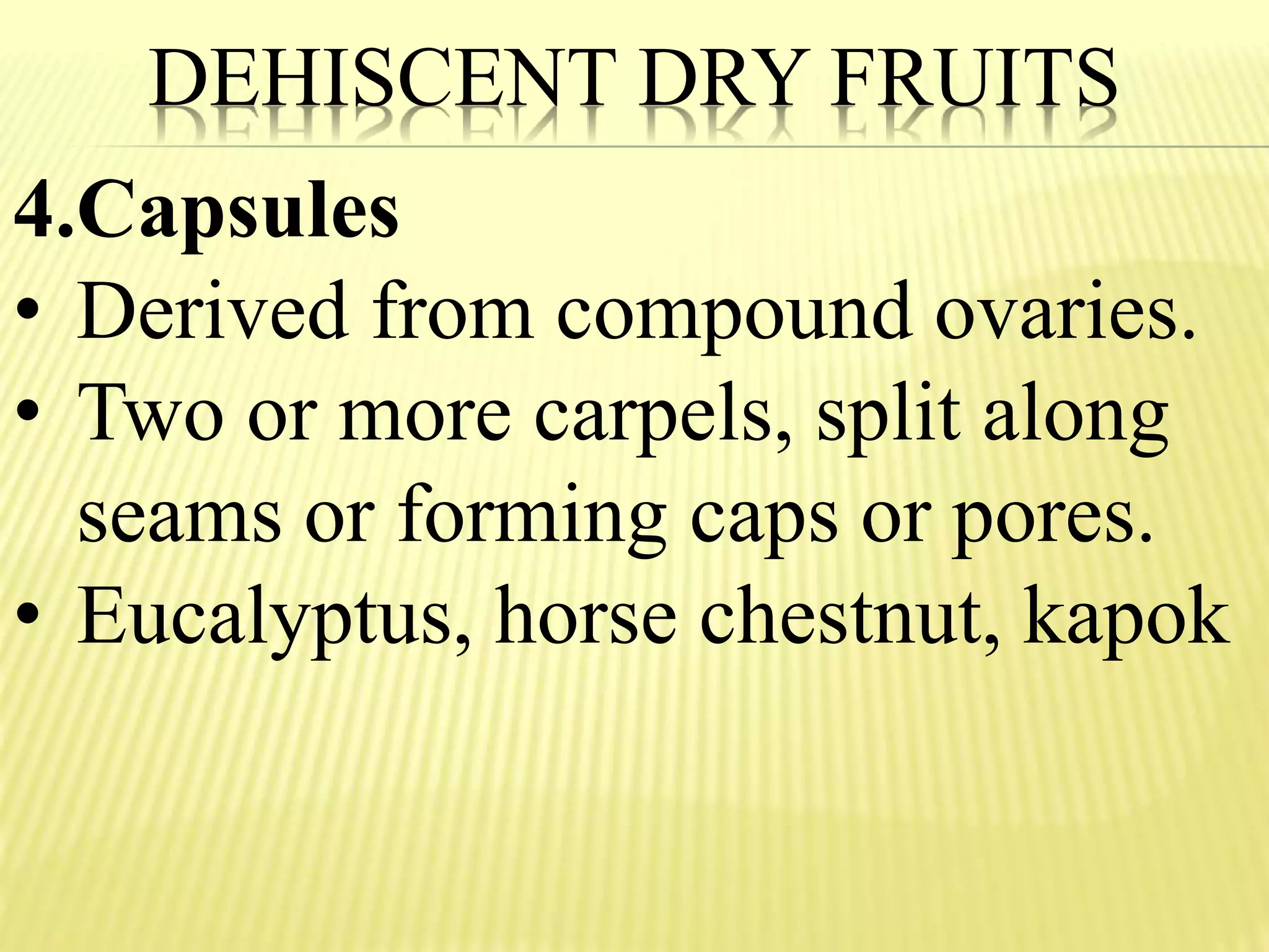 DEHISCENT DRY FRUITS
4.Capsules
• Derived from compound ovaries.
• Two or more carpels, split along
seams or forming caps or pores.
• Eucalyptus, horse chestnut, kapok
 