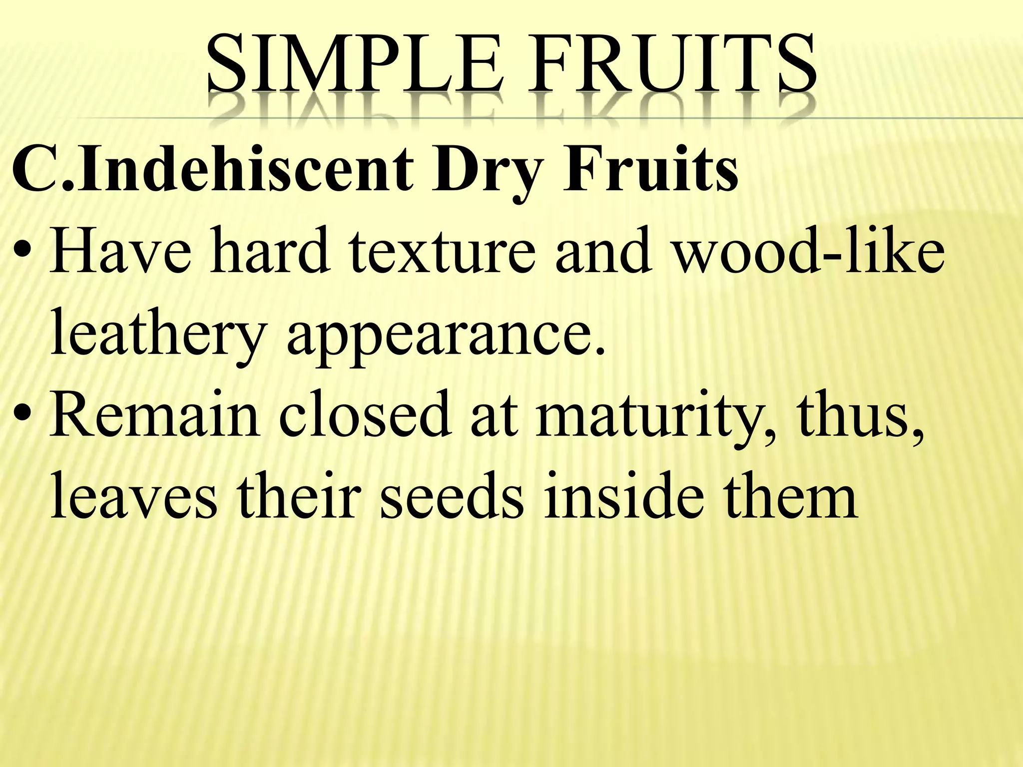 SIMPLE FRUITS
C.Indehiscent Dry Fruits
• Have hard texture and wood-like
leathery appearance.
• Remain closed at maturity, thus,
leaves their seeds inside them
 