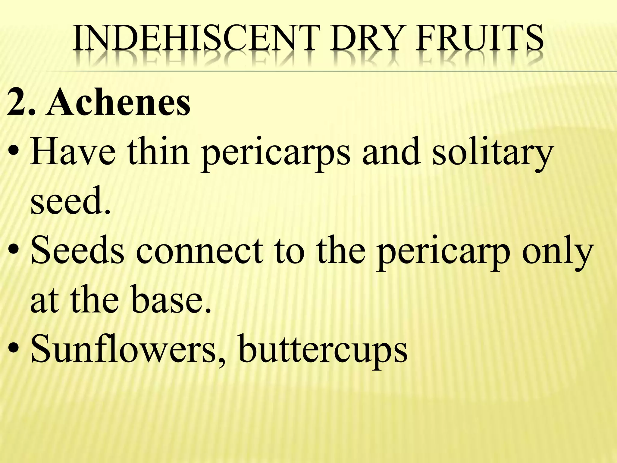 INDEHISCENT DRY FRUITS
2. Achenes
• Have thin pericarps and solitary
seed.
• Seeds connect to the pericarp only
at the base.
• Sunflowers, buttercups
 