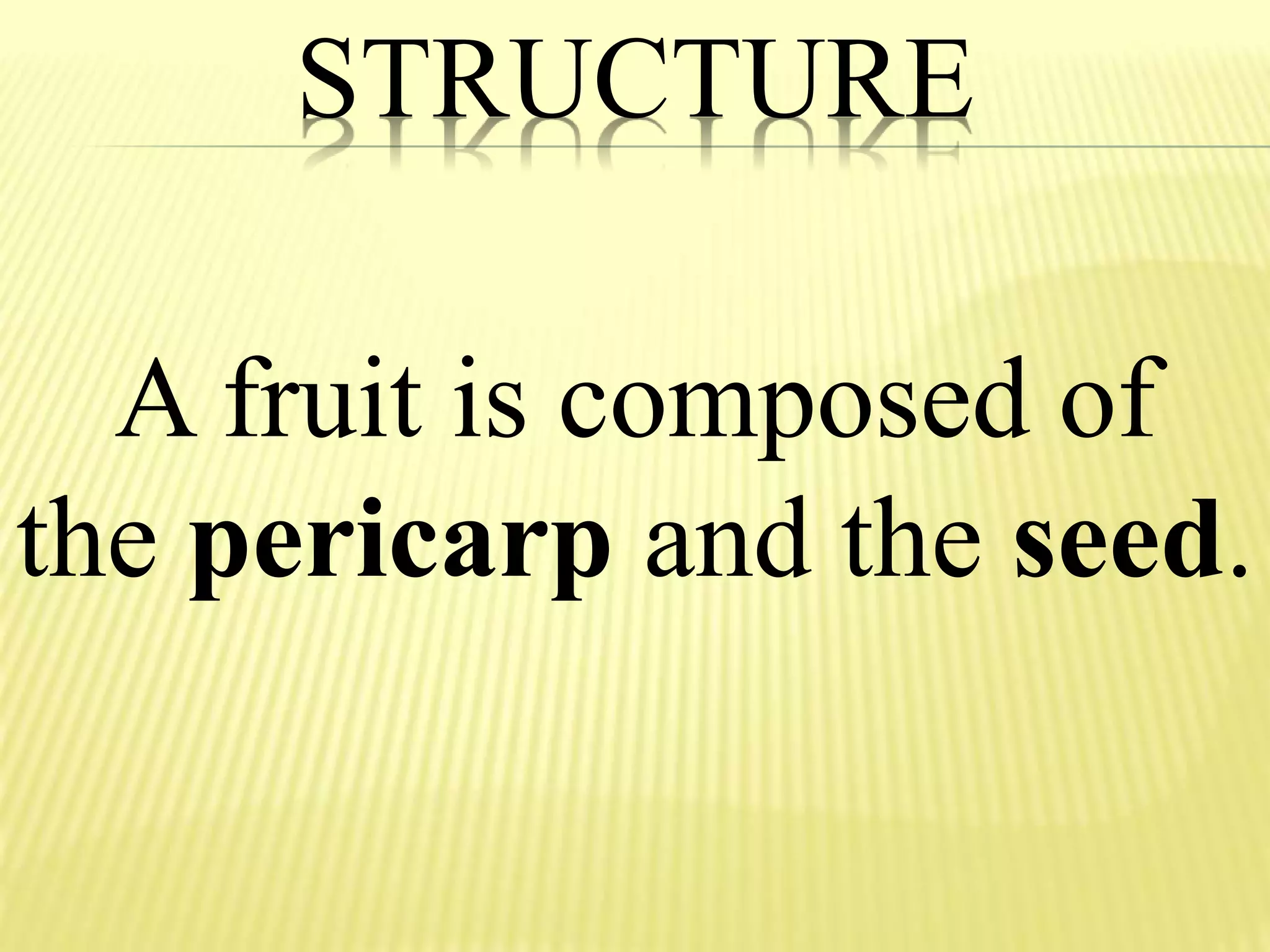 STRUCTURE
A fruit is composed of
the pericarp and the seed.
 