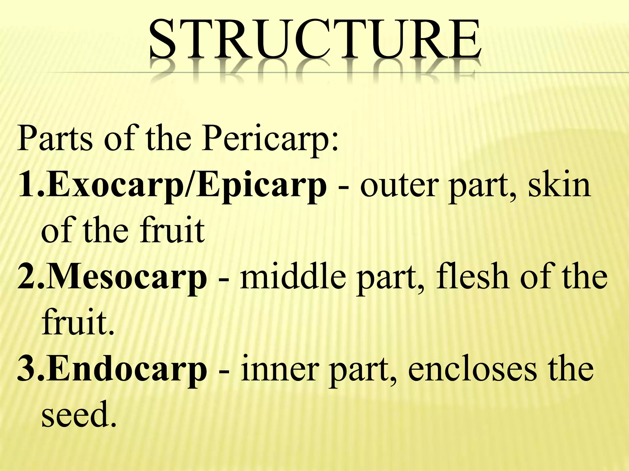 STRUCTURE
Parts of the Pericarp:
1.Exocarp/Epicarp - outer part, skin
of the fruit
2.Mesocarp - middle part, flesh of the
fruit.
3.Endocarp - inner part, encloses the
seed.
 