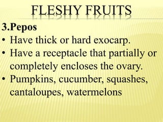 Fruits: Parts and Classification | PPTX