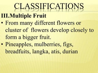 Fruits: Parts and Classification | PPTX