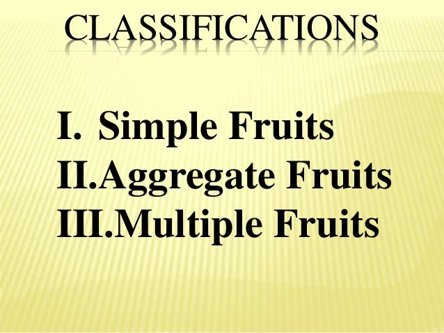 Fruit Classification Chart