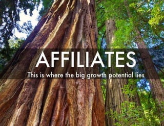 16.  redwoods  affiliates