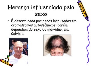 Herança influenciada pelo 
sexo 
• É determinada por genes localizados em 
cromossomos autossômicos, porém 
dependem do sexo do indivíduo. Ex. 
Calvície. 
 