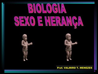 Prof. VALMIRO T. MENEZES 
 