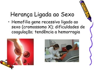 Herança Ligada ao Sexo 
• Hemofilia gene recessivo ligado ao 
sexo (cromossomo X); dificuldades de 
coagulação; tendência a hemorragia 
 