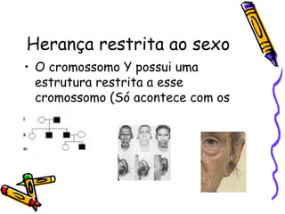 Herança restrita ao sexo 
• O cromossomo Y possui uma 
estrutura restrita a esse 
cromossomo (Só acontece com os 
homens) 
 