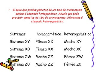 • O sexo que produz gametas de um tipo de cromossomo 
sexual é chamado homogamético. Aquele que pode 
produzir gametas de tipo de cromossomos diferentes é 
chamado heterogamético. 
Sistemas homogamético heterogamético 
Sistema XY Fêmea XX Macho XY 
Sistema X0 Fêmea XX Macho X0 
Sistema ZW Macho ZZ Fêmea ZW 
Sistema Z0 Macho ZZ Fêmea Z0 
 
