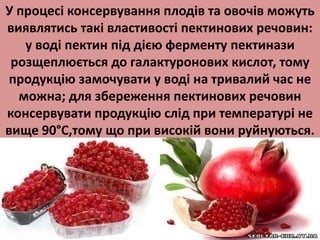 У процесі консервування плодів та овочів можуть 
виявлятись такі властивості пектинових речовин: 
у воді пектин під дією ферменту пектинази 
розщеплюється до галактуронових кислот, тому 
продукцію замочувати у воді на тривалий час не 
можна; для збереження пектинових речовин 
консервувати продукцію слід при температурі не 
вище 90°С,тому що при високій вони руйнуються. 
 