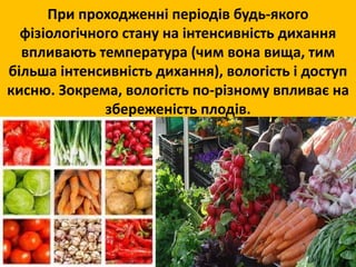 При проходженні періодів будь-якого 
фізіологічного стану на інтенсивність дихання 
впливають температура (чим вона вища, тим 
більша інтенсивність дихання), вологість і доступ 
кисню. Зокрема, вологість по-різному впливає на 
збереженість плодів. 
 