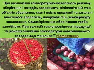 При визначенні температурно-вологісного режиму 
зберігання і заходів, враховують фізіологічний стан 
об’єктів зберігання, стан і якість продукції та загальні 
властивості (вологість, шпаруватість), температуру 
закладання. Самозігріванню обов’язково треба 
запобігати. При великій теплопровідності продукції, 
та різкому зниженні температури навколишнього 
середовища можливе її підмерзання. 
 