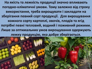 На якість та лежкість продукції значно впливають 
погодно-кліматичні умови. Тому залежно від строку 
використання, треба вирощувати і закладати на 
зберігання певний сорт продукції. Для вирощування 
кожного сорту картоплі, овочів, плодів та ягід 
потрібні певні тепловий, водний і поживний режими. 
Лише за оптимальних умов вирощування одержують 
лежку продукцію, яка добре зберігається. 
 