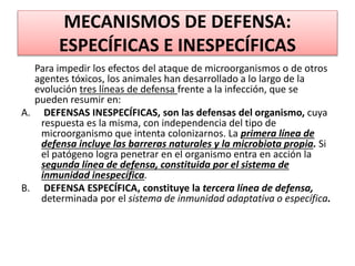 MECANISMOS DE DEFENSA: 
ESPECÍFICAS E INESPECÍFICAS 
Para impedir los efectos del ataque de microorganismos o de otros 
agentes tóxicos, los animales han desarrollado a lo largo de la 
evolución tres líneas de defensa frente a la infección, que se 
pueden resumir en: 
A. DEFENSAS INESPECÍFICAS, son las defensas del organismo, cuya 
respuesta es la misma, con independencia del tipo de 
microorganismo que intenta colonizarnos. La primera línea de 
defensa incluye las barreras naturales y la microbiota propia. Si 
el patógeno logra penetrar en el organismo entra en acción la 
segunda línea de defensa, constituida por el sistema de 
inmunidad inespecífica. 
B. DEFENSA ESPECÍFICA, constituye la tercera línea de defensa, 
determinada por el sistema de inmunidad adaptativa o específica. 
 