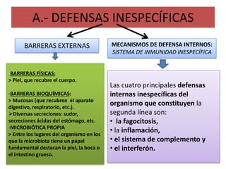 A.- DEFENSAS INESPECÍFICAS 
BARRERAS EXTERNAS MECANISMOS DE DEFENSA INTERNOS: 
SISTEMA DE INMUNIDAD INESPECÍFICA 
-BARRERAS FÍSICAS: 
> Piel, que recubre el cuerpo. 
-BARRERAS BIOQUÍMICAS: 
> Mucosas (que recubren el aparato 
digestivo, respiratorio, etc.). 
Diversas secreciones: sudor, 
secreciones ácidas del estómago, etc. 
-MICROBIÓTICA PROPIA 
> Entre los lugares del organismo en los 
que la microbiota tiene un papel 
fundamental destacan la piel, la boca o 
el intestino grueso. 
Las cuatro principales defensas 
internas inespecíficas del 
organismo que constituyen la 
segunda línea son: 
• la fagocitosis, 
• la inflamación, 
• el sistema de complemento y 
• el interferón. 
 